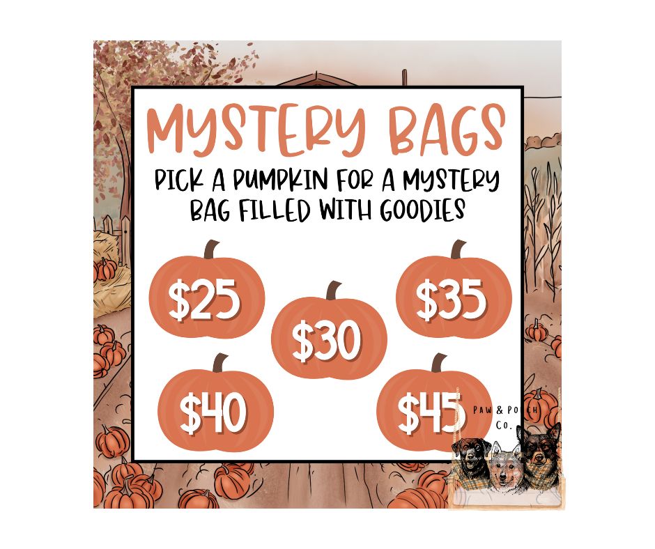 Fall/Halloween Mystery Bags
